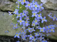 002.webp