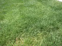 DSCN1525.webp