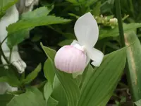 DSCF1830.webp
