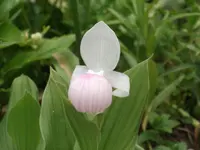 DSCF1829.webp