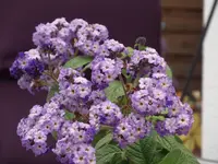 DSCF1833.webp