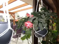 DSCF1806.webp