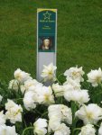 Keukenhof_2_IMG_4298_1.JPG