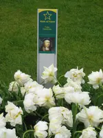 Keukenhof_2_IMG_4298_1.webp