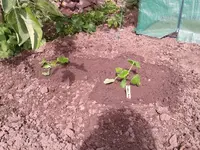 2012-05-18 11.00.37.webp