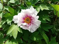 2012-05-18 11.03.26.webp