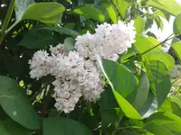 2012-05-18 11.04.07.webp