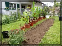 comp_DSC01618.webp