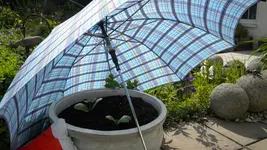 DSCN2786.webp