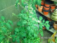k-BILD0828.webp