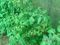 k-BILD0829.webp