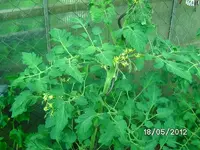 k-BILD0830.webp