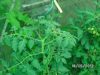 k-BILD0831.webp