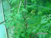 k-BILD0832.webp