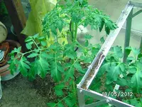 k-BILD0833.webp