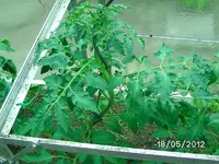 k-BILD0835.webp