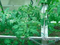 k-BILD0836.webp