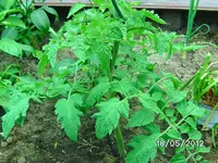 k-BILD0839.webp