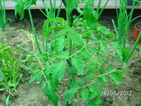 k-BILD0840.webp