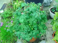 k-BILD0842.webp