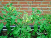 k-BILD0844.webp