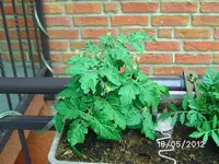 k-BILD0845.webp