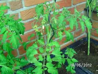 k-BILD0846.webp