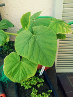 20120519160748.webp