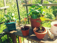 20120519160755.webp