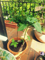 20120519160812.webp
