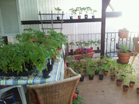20120519163624.webp