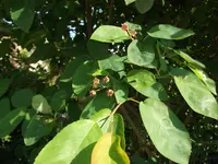 DSCF2593.webp