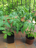 20120519163644.webp