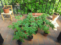 20120519163637.webp