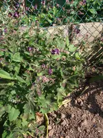 DSCF2595.webp