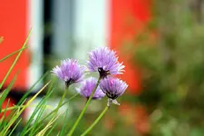 20120519-IMG_4611_bearbeitet-1.webp