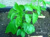 k-BILD0686.webp
