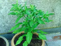 k-BILD0693.webp
