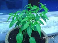 k-BILD0695.webp