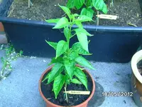 k-BILD0696.webp