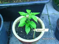 k-BILD0699.webp