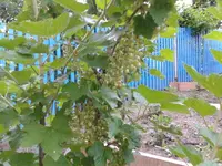 2012-05-19 20.35.40.webp