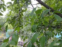 2012-05-19 20.36.29.webp