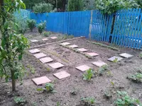 2012-05-19 19.50.17.webp