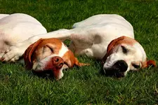 they do love each other1_smaller.webp