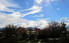 Copy of IMG_1130v.webp