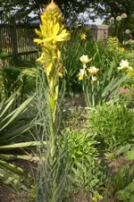 Garten 05 2012 4 001.webp