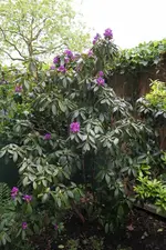 APIMG_5854.webp