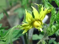 BILD0150.webp