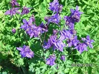 BILD0165.webp